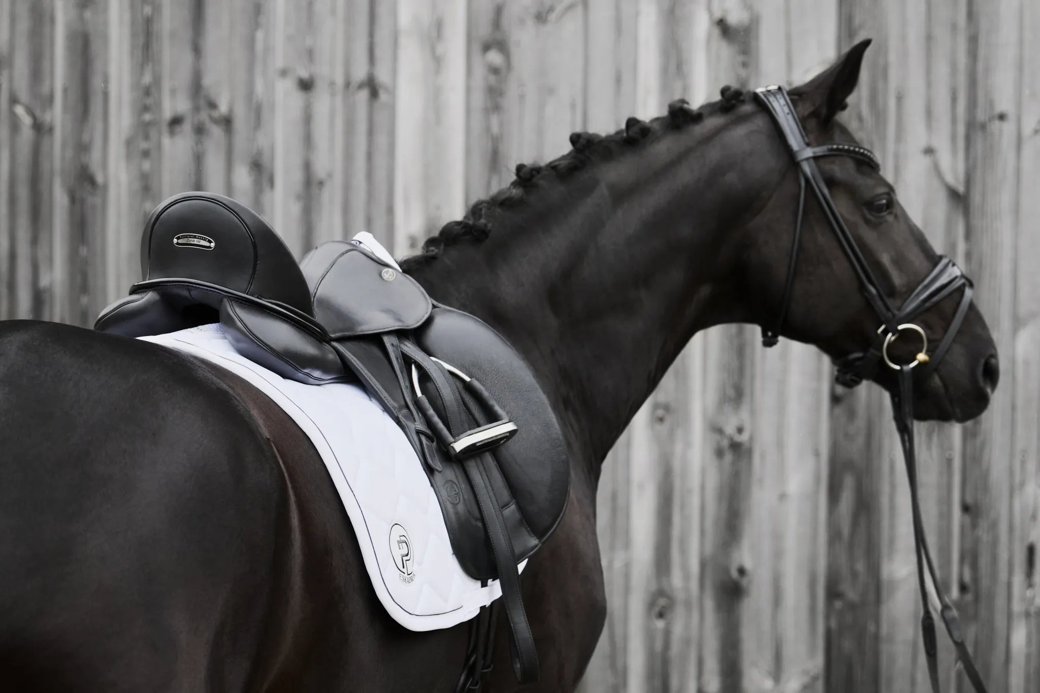 Tapis de selle Softshell Emblem PLATINUM 2024 - Eskadron