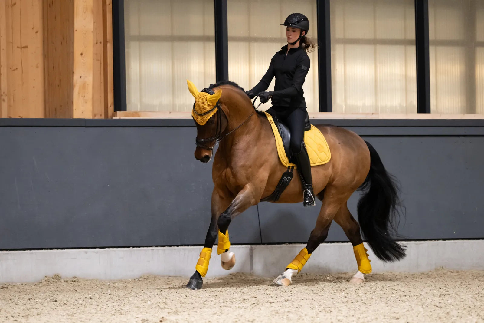 Tapis de selle Pro Soft DRESSAGE PLATINUM 2025 - Eskadron