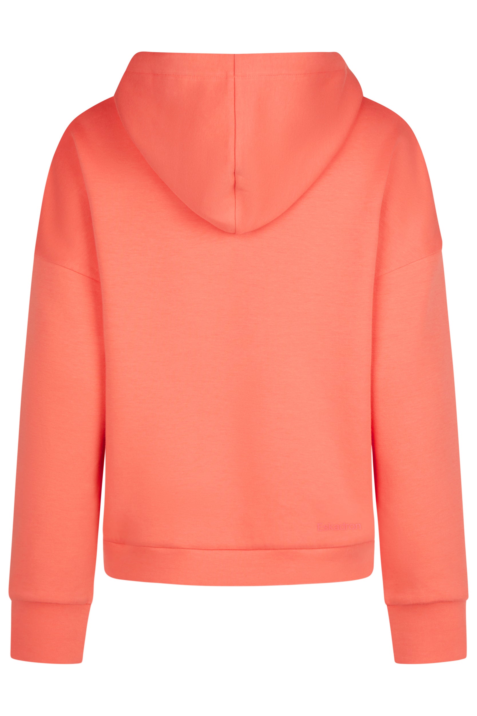 Sweat shirt Hood Classic Sports 2025 - Eskadron