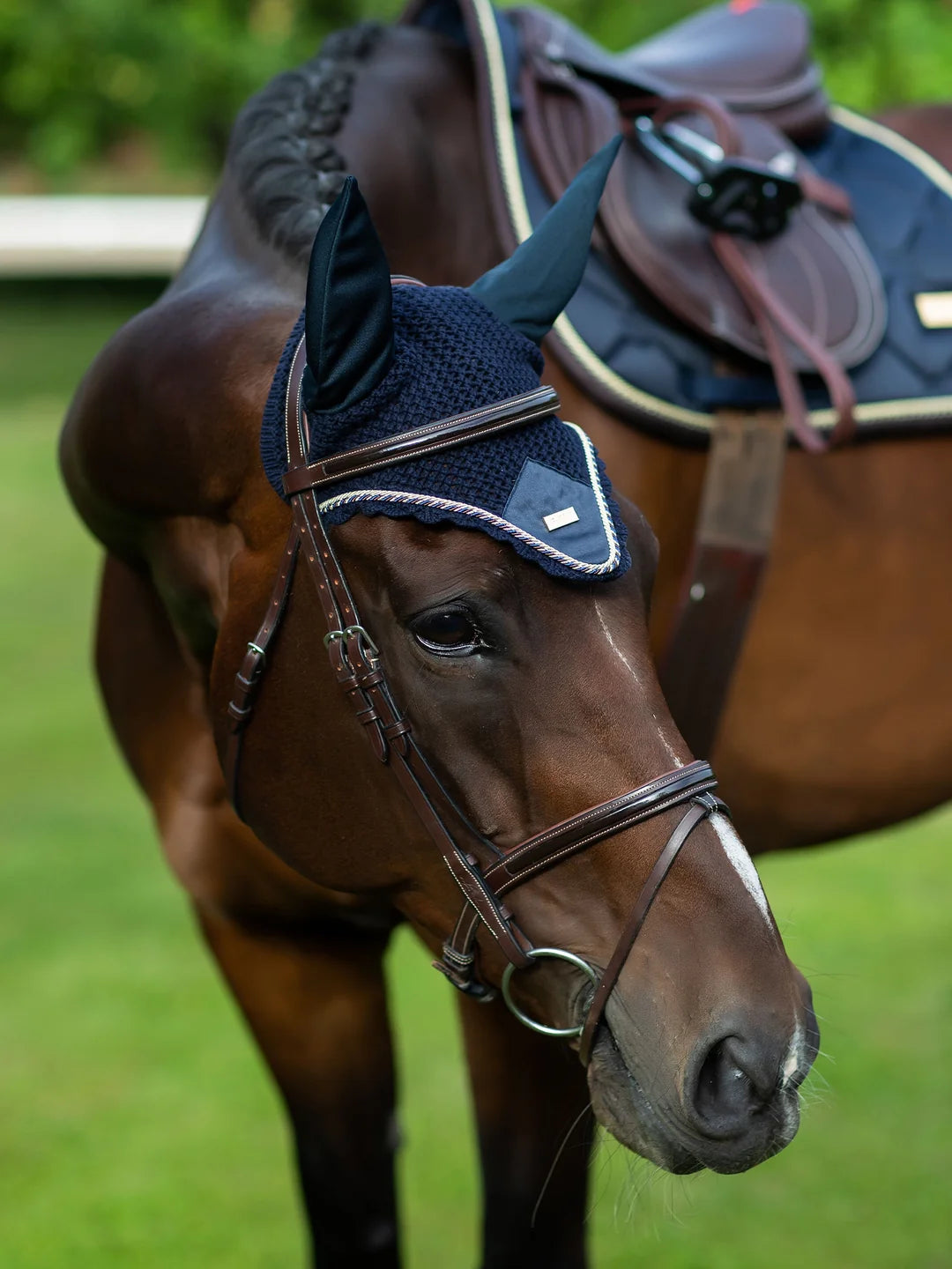 Royal Classic Beanie - Equestrian Stockholm