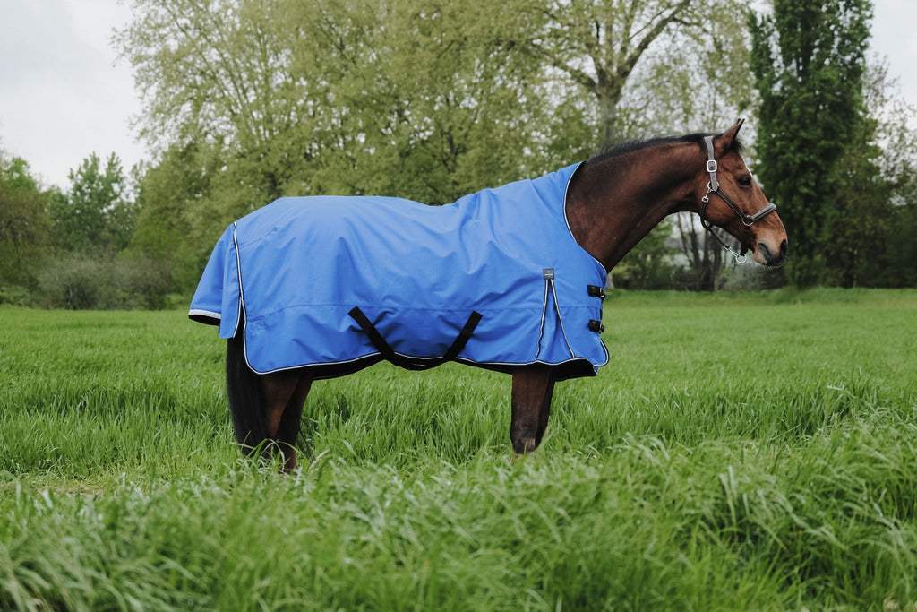 Equitheme
