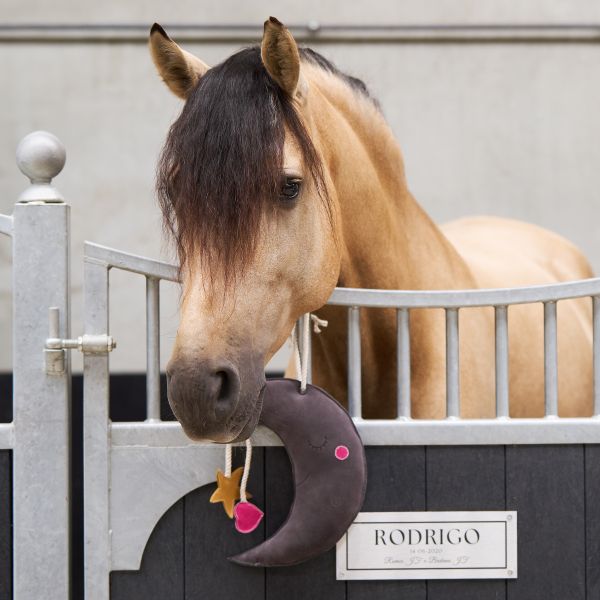 Jouet de box Moony - IMPERIAL RIDING