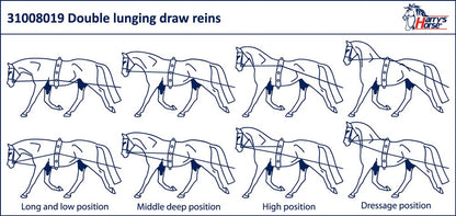 Longues Rênes - Harry’s Horse