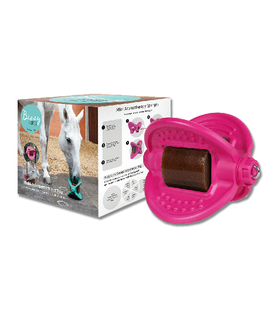 Support friandises 3 en 1 Bizzy Ball - Bizzy Horse