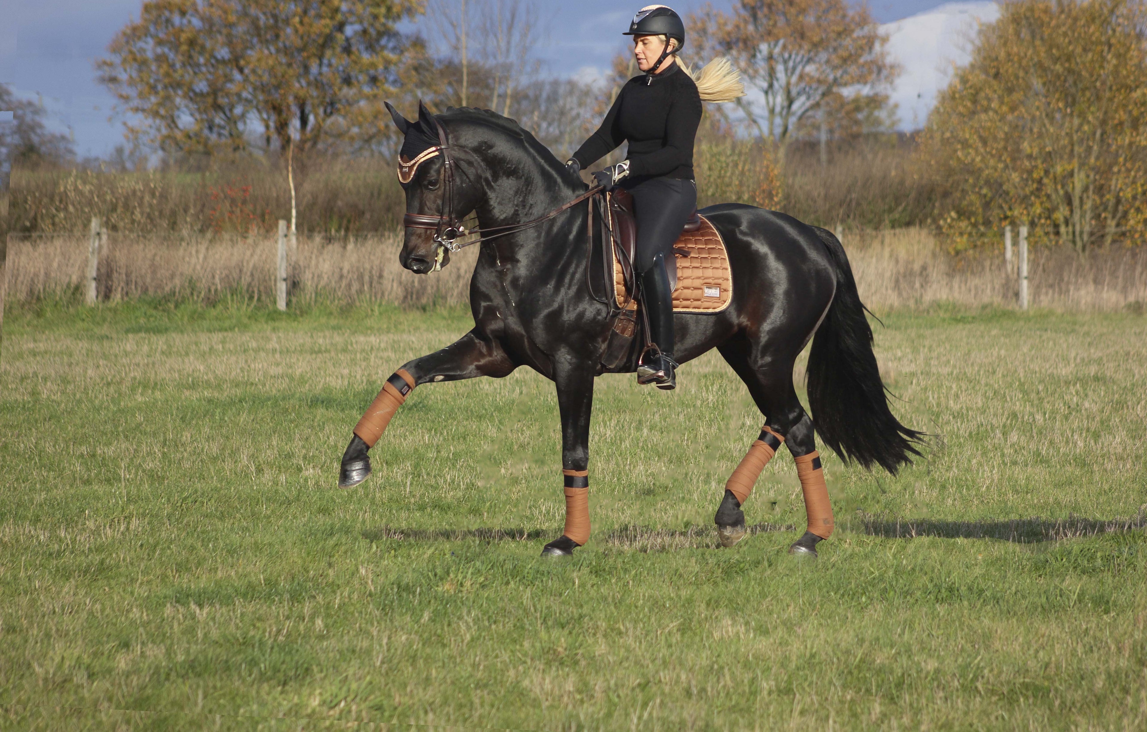 Equito fleece strips - Hazelnut