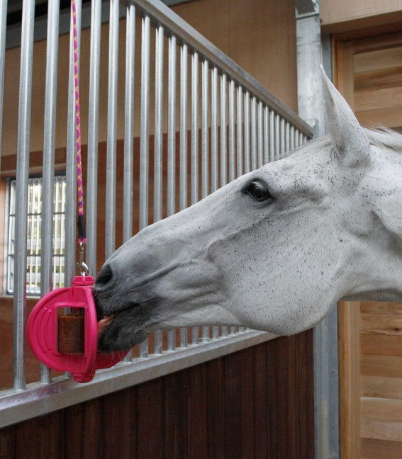 Bizzy Ball Refill - Bizzy Horse