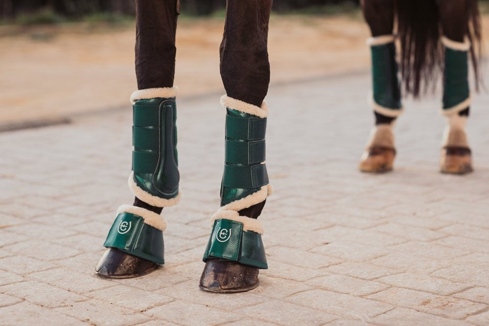 Guêtres Equestrian Stockholm - AMAZONITE
