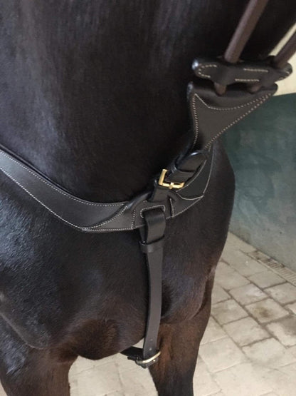 Collier de chasse DELUXE - Harry&