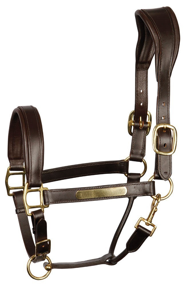 Licol en cuir Anatomic - Harry&