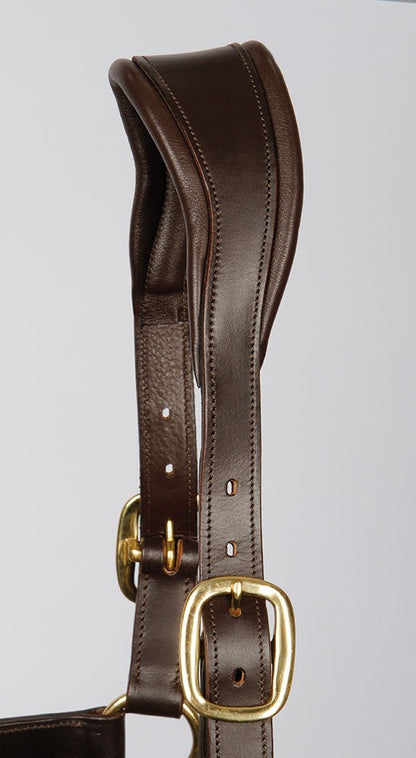 Licol en cuir Anatomic - Harry&