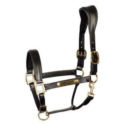 Licol en cuir Anatomic - Harry&
