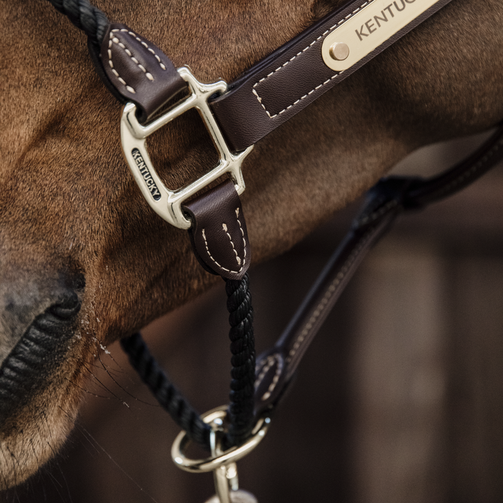 Leather rope halter - Kentucky