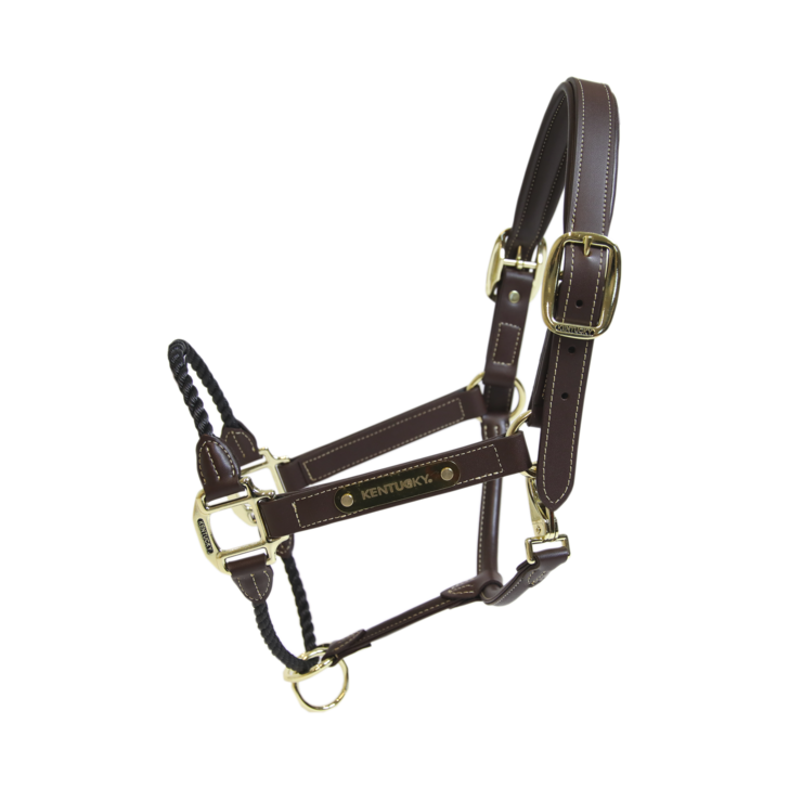 Leather rope halter - Kentucky
