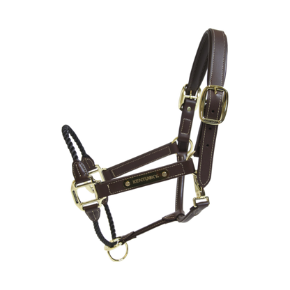 Leather rope halter - Kentucky