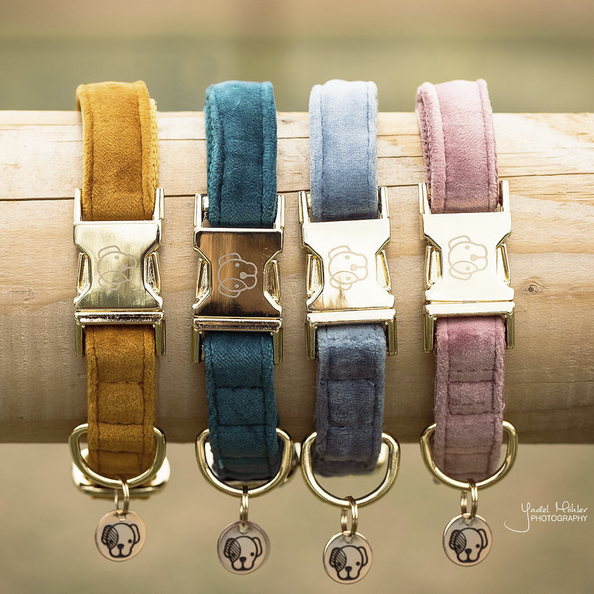 Collier pour chien Velvet - Kentucky