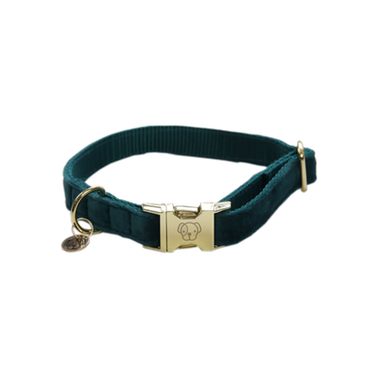 Collier pour chien Velvet - Kentucky