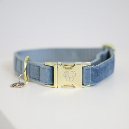 Collier pour chien Velvet - Kentucky