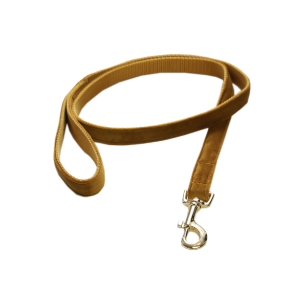 Laisse pour chien Velvet 120 cm - Kentucky