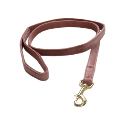 Laisse pour chien Velvet 120 cm - Kentucky