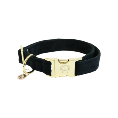 Corduroy dog ​​collar - Kentucky