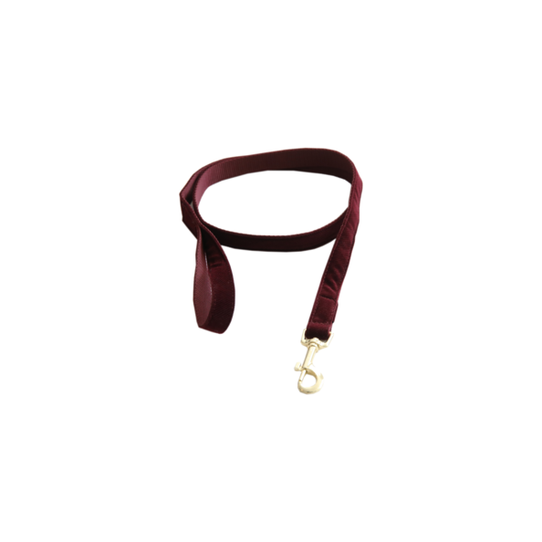 Corduroy Dog Leash - Kentucky