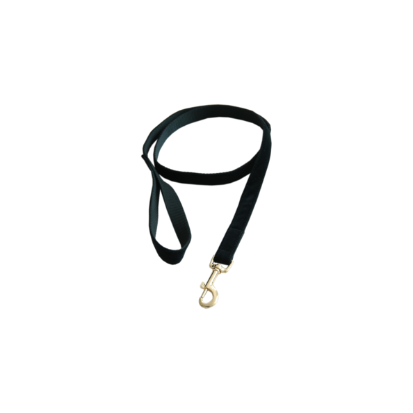 Corduroy Dog Leash - Kentucky