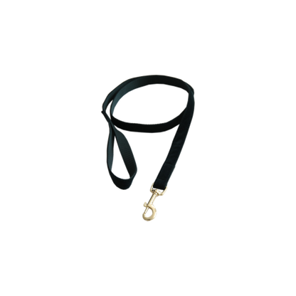 Corduroy Dog Leash - Kentucky