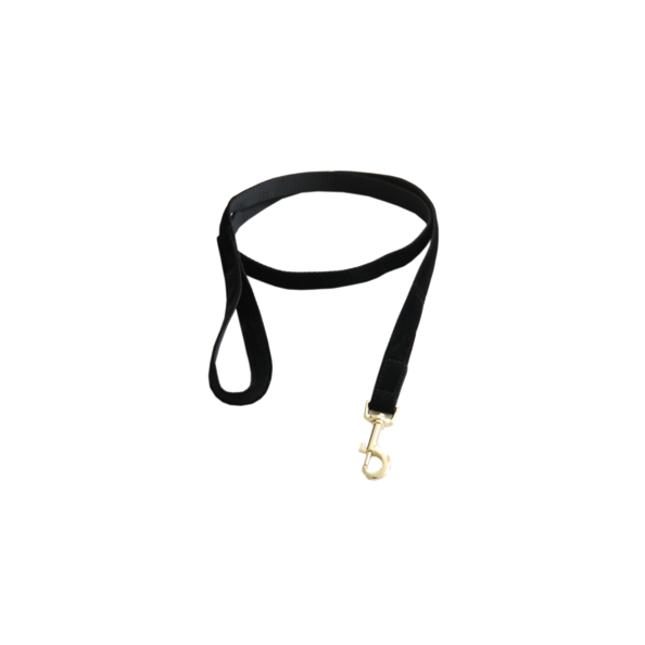 Corduroy Dog Leash - Kentucky