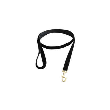 Corduroy Dog Leash - Kentucky