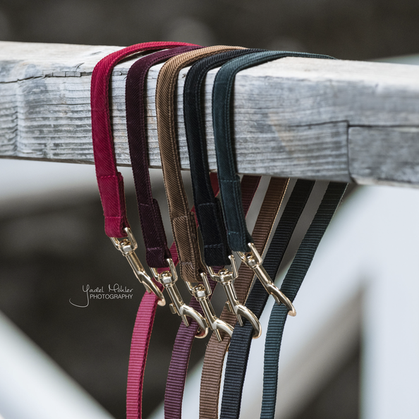 Corduroy Dog Leash - Kentucky