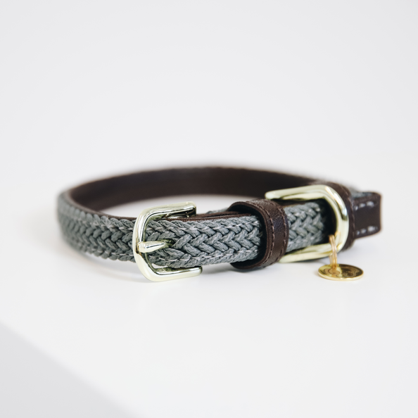 Collier pour chien en Nylon tressé - Kentucky