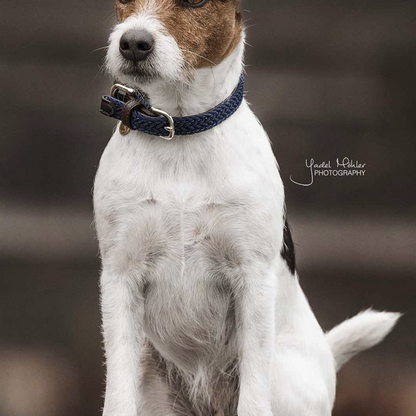 Collier pour chien en Nylon tressé - Kentucky