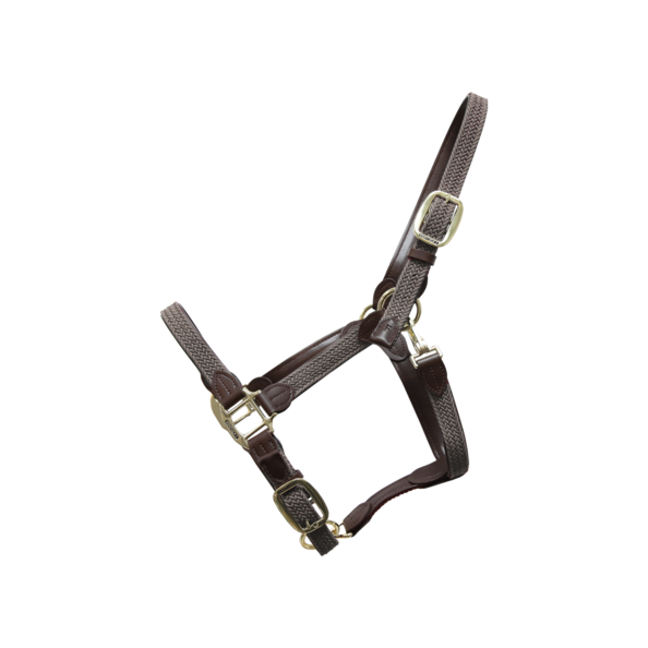 Braided nylon halter - Kentucky