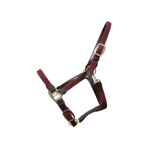 Braided nylon halter - Kentucky