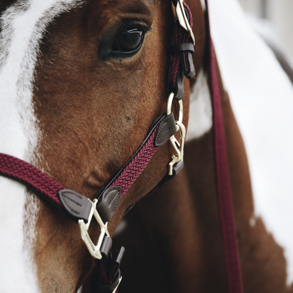 Braided nylon halter - Kentucky