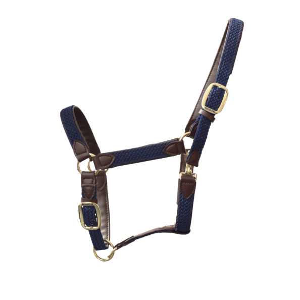 Braided nylon halter - Kentucky
