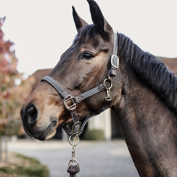 Braided nylon halter - Kentucky
