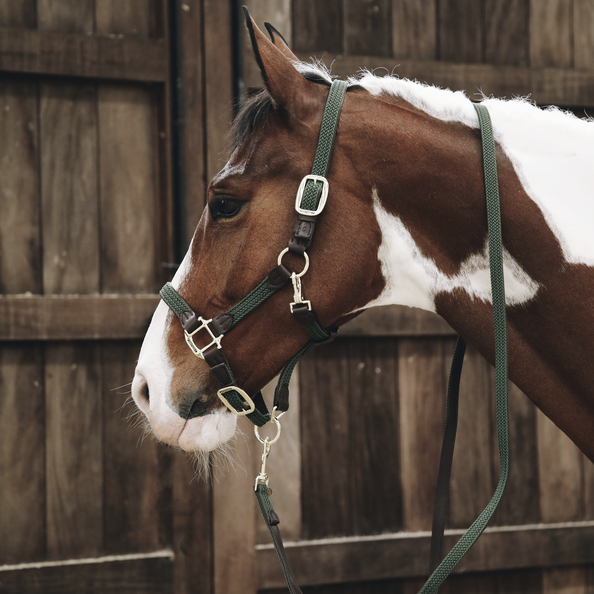 Braided nylon halter - Kentucky