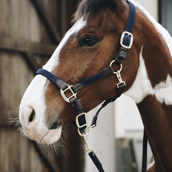 Braided nylon halter - Kentucky