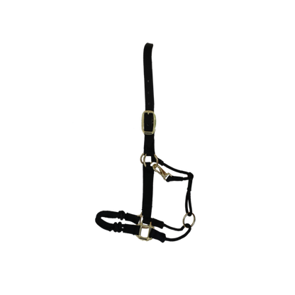 Control Halter - Kentucky
