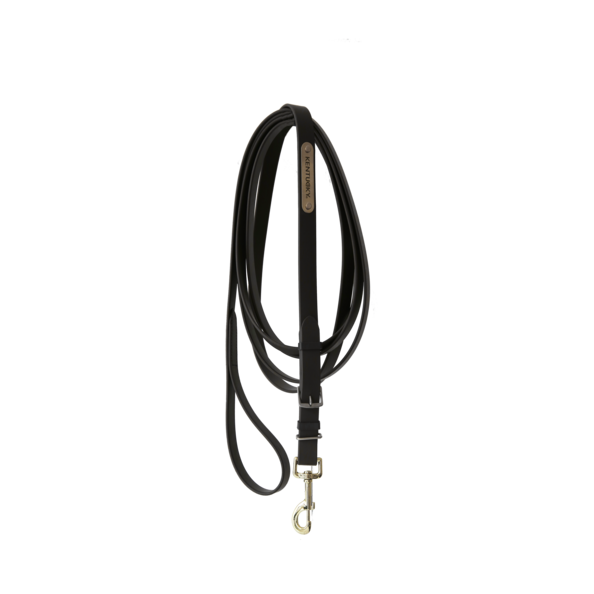 Stallion lead - Kentucky
