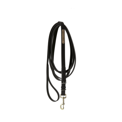 Stallion lead - Kentucky