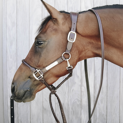 Leather covered presentation lead - Kentucky
