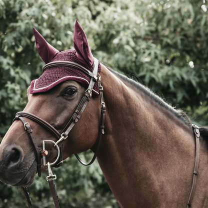 Wellington Corduroy Beanie - Kentucky