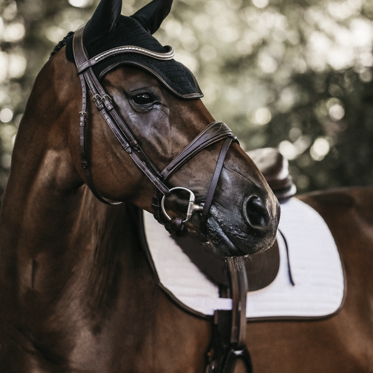 Wellington Leather Beanie - Kentucky