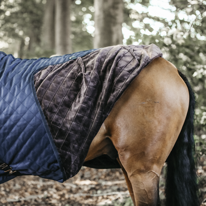 0g stable rug - Kentucky