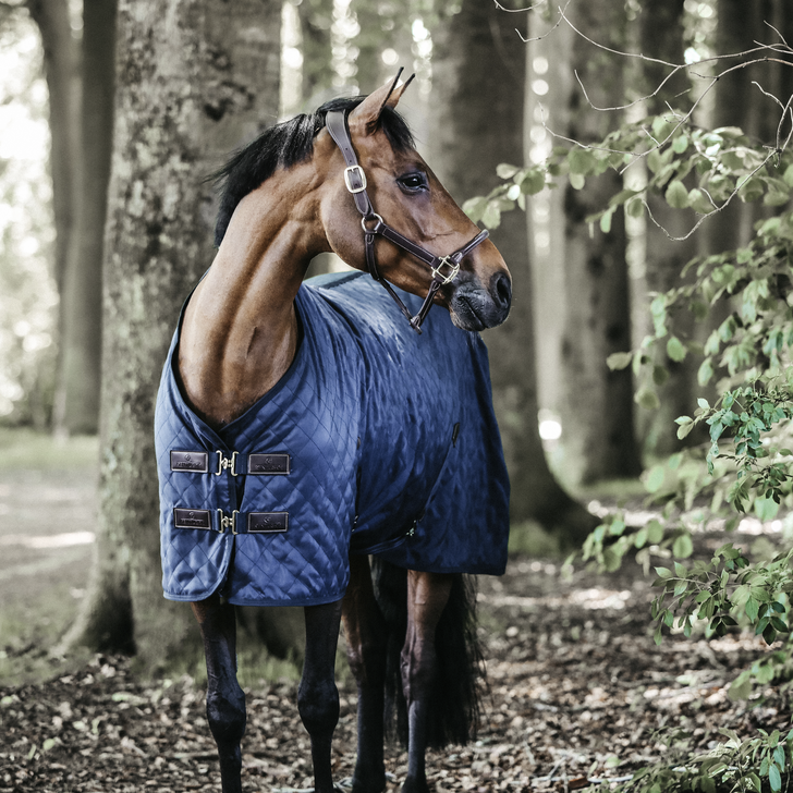 0g stable rug - Kentucky