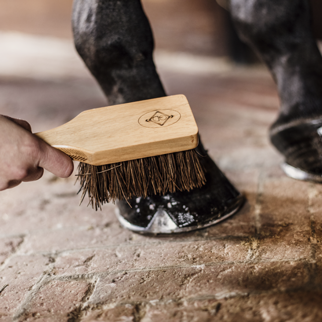 Hoof brush - Kentucky