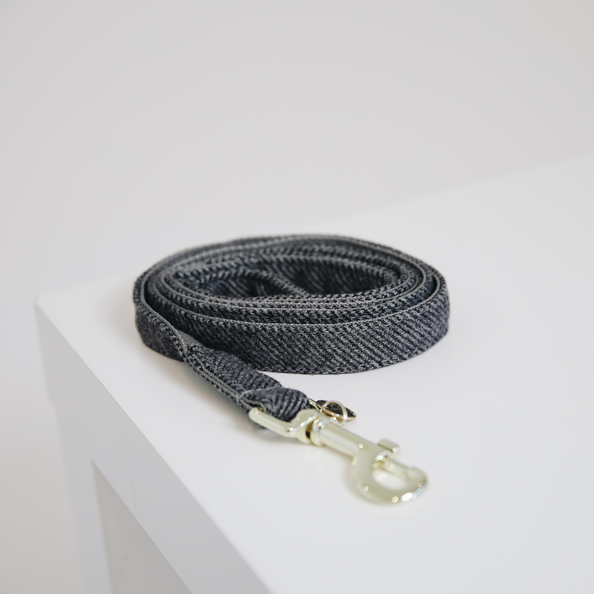 Laisse pour chien Wool  - Kentucky