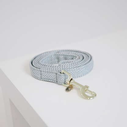 Laisse pour chien Wool  - Kentucky